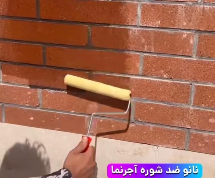 کفسابی و نماشویی و نانو|خدمات نظافت|یزد, |دیوار