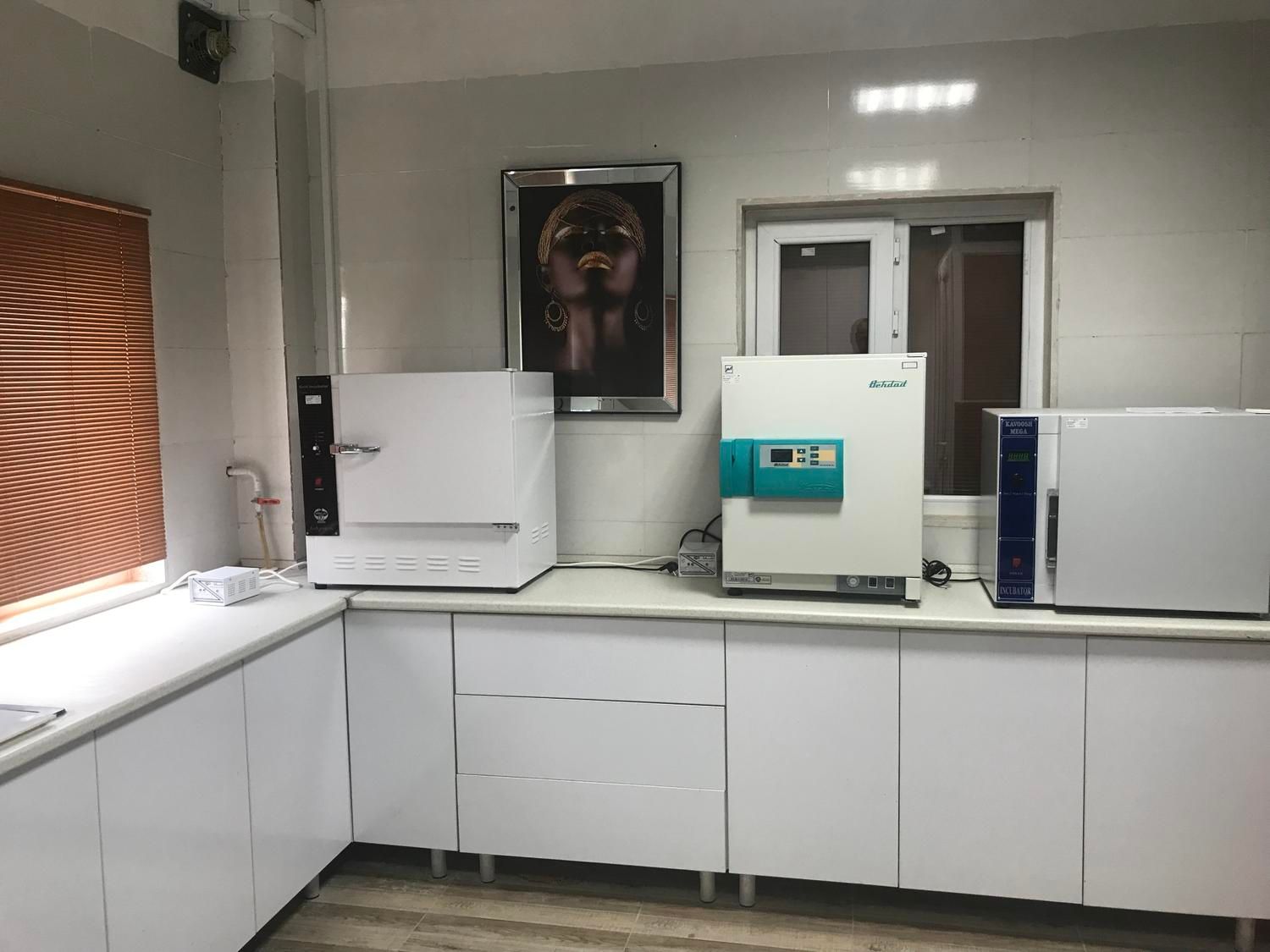 فروش کارخونه آماده بکار|فروش دفتر صنعتی، کشاورزی، تجاری|گرگان, |دیوار