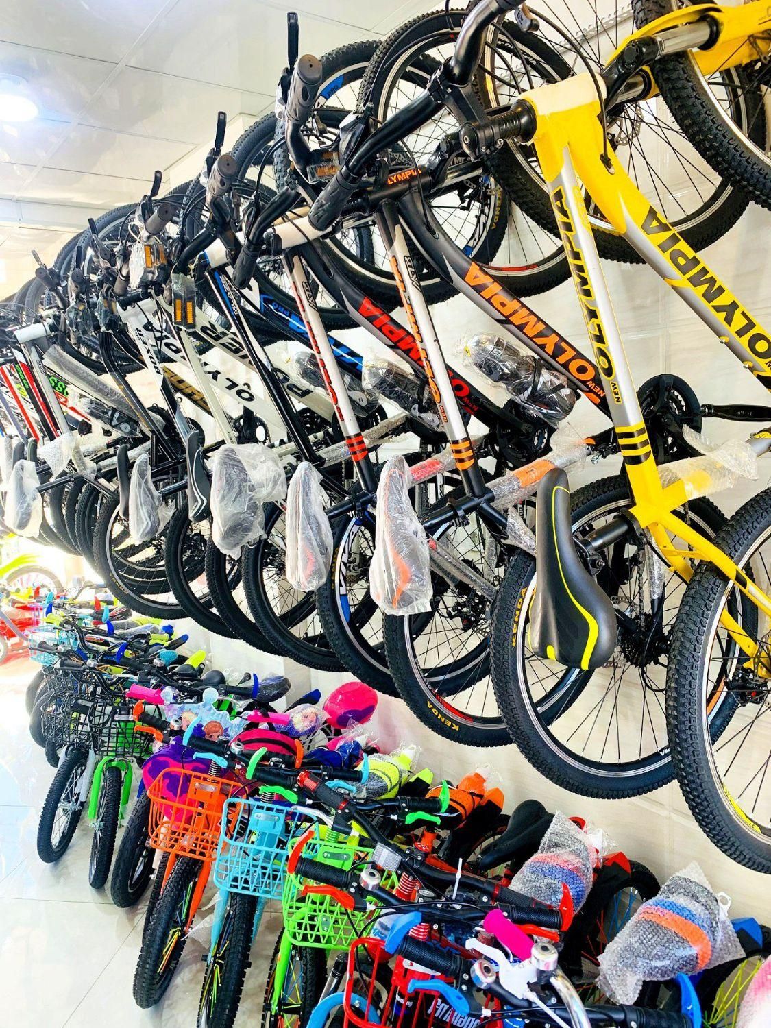 دوچرخه بندرعباس انواع دوچرخه 12 16 20 24 26|دوچرخه، اسکیت، اسکوتر|بندرعباس, |دیوار