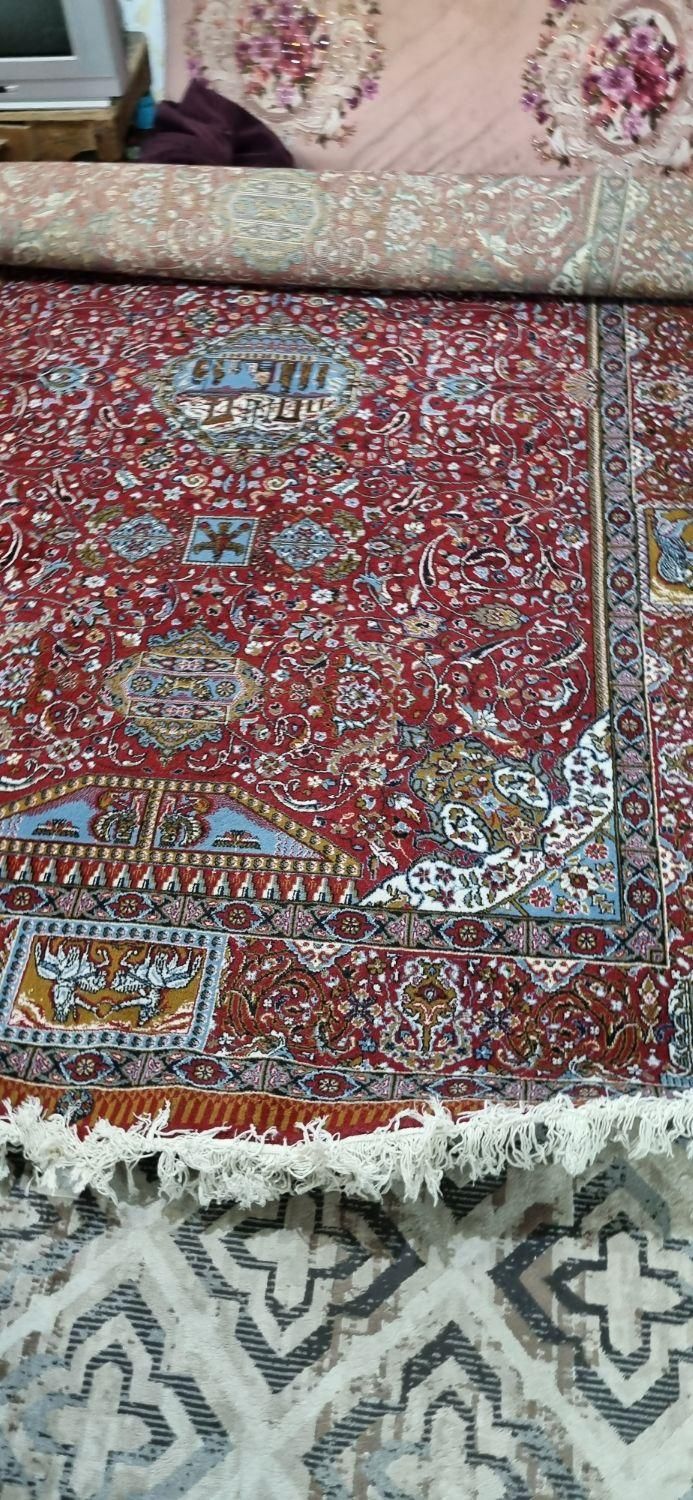 دو قطعه فرش ۶ متری سالم و تمیز|فرش|کیاشهر, |دیوار