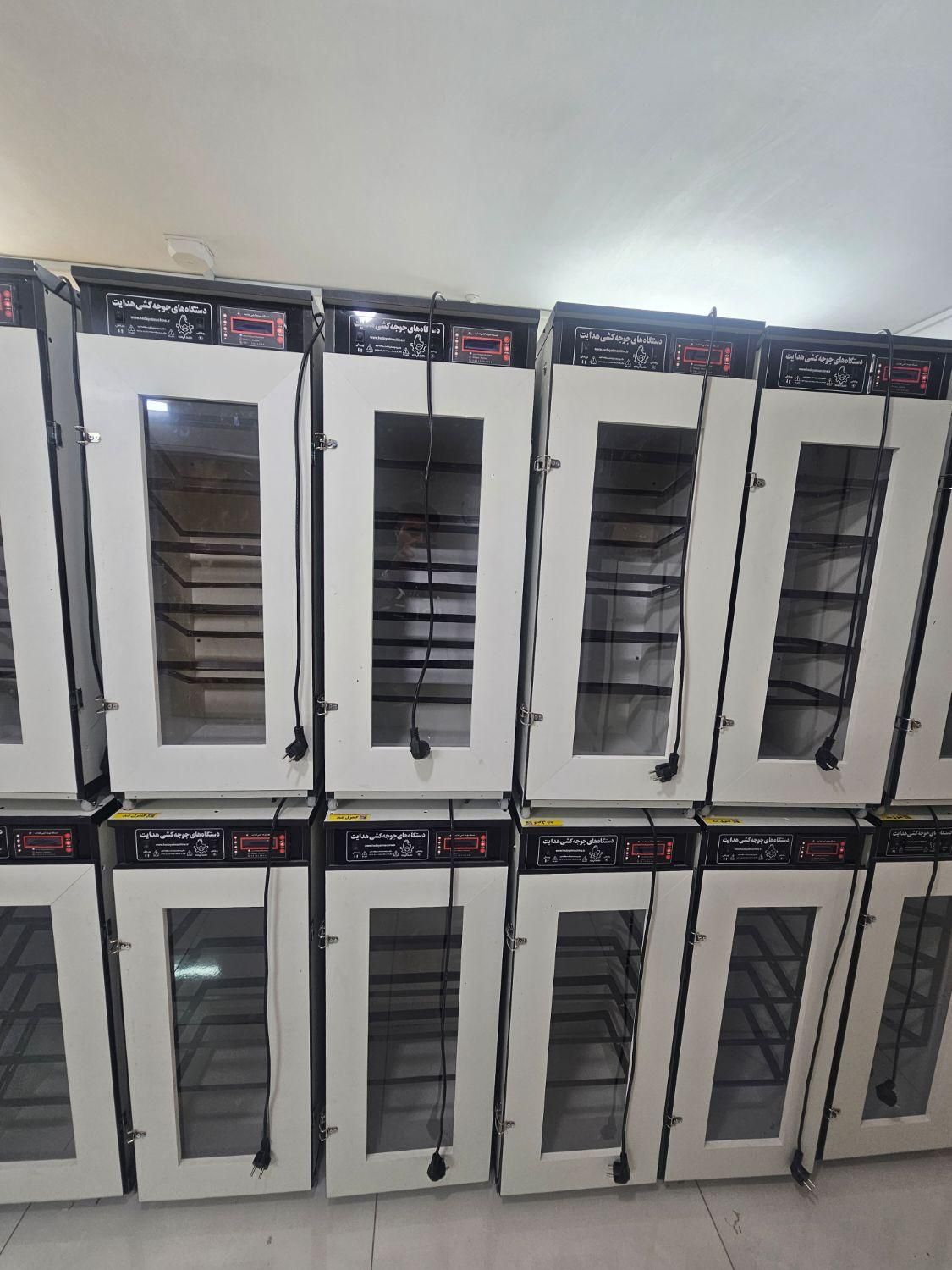 دستگاه جوجه کشی تمام اتوماتیک هدایت|لوازم جانبی حیوانات|کازرون, |دیوار