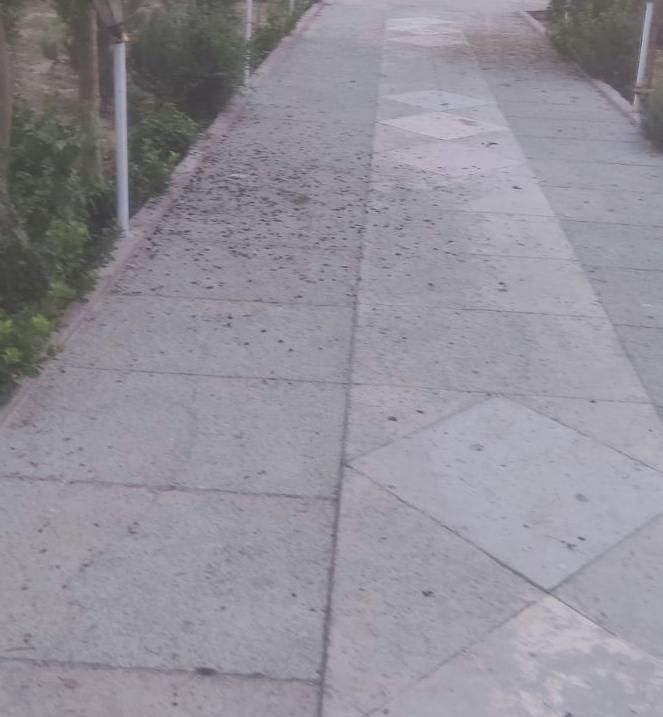 280زمین متری تفیهان و 100متر سوئیت|فروش خانه و ویلا|شیراز, بید زرد|دیوار