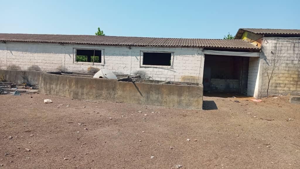 شریک و سرمایه گذاری در گاوداری پرواربندی ه گوشتی|حیوانات مزرعه|تهران, ائمه اطهار|دیوار