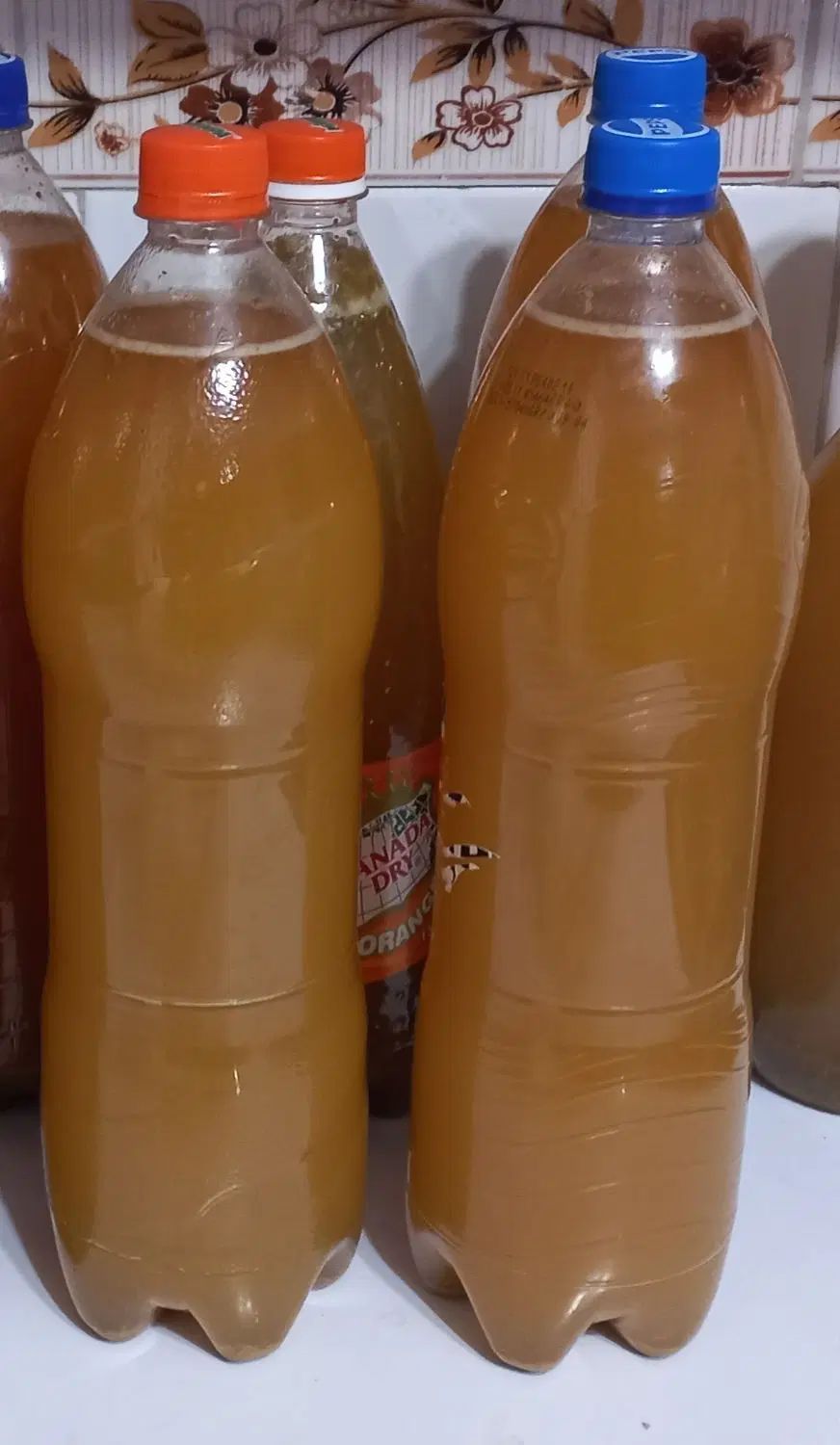 آبغوره طبیعی و امساله در بطری یک و نیم لیتری|خوردنی و آشامیدنی|رودسر, |دیوار