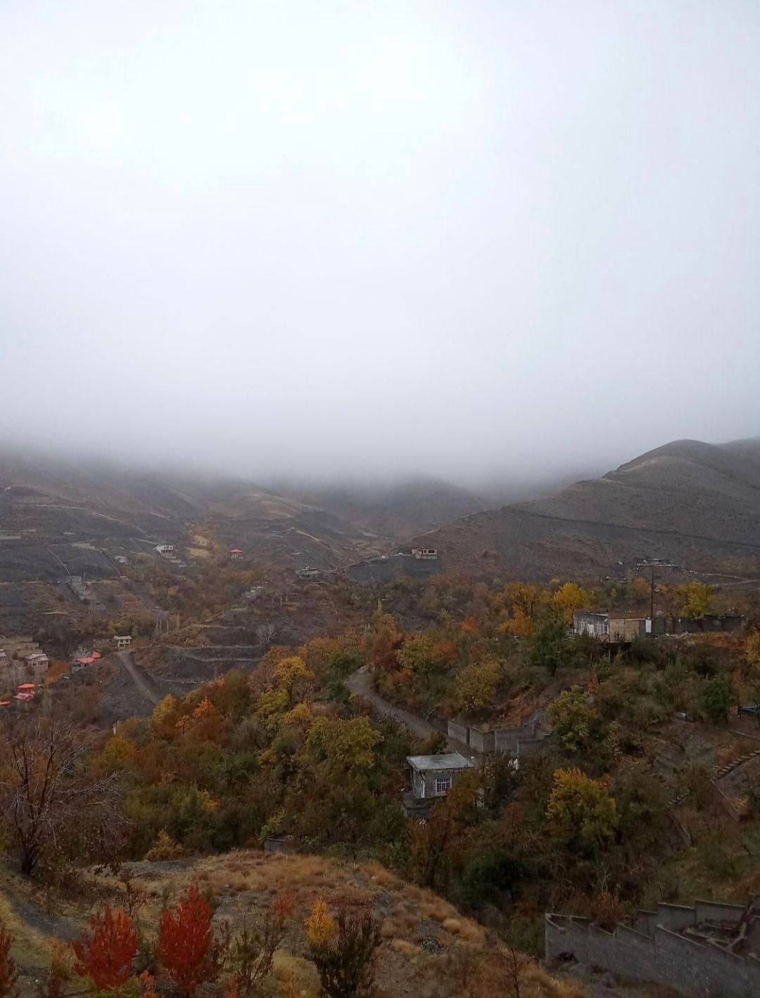 سوئیت زشک|اجارهٔ کوتاهمدت آپارتمان و سوئیت|شاندیز, |دیوار