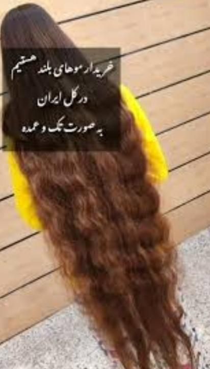 بزرگترین مرکز خرید مو|آرایشی، بهداشتی، درمانی|دورود, |دیوار