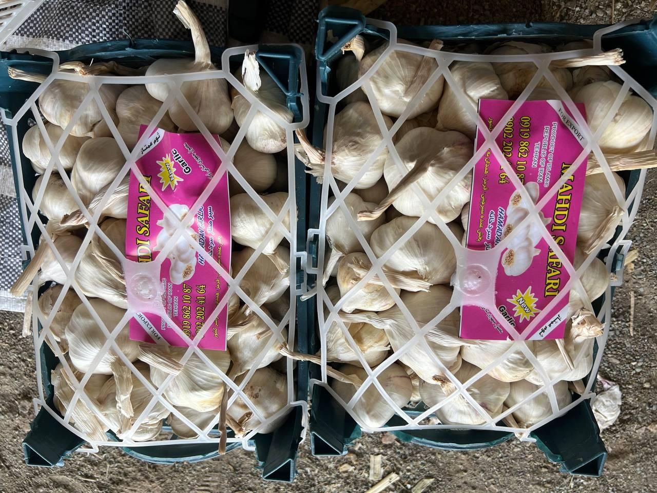 سیر خشک بسته بندی|خوردنی و آشامیدنی|تهران, امیریه|دیوار