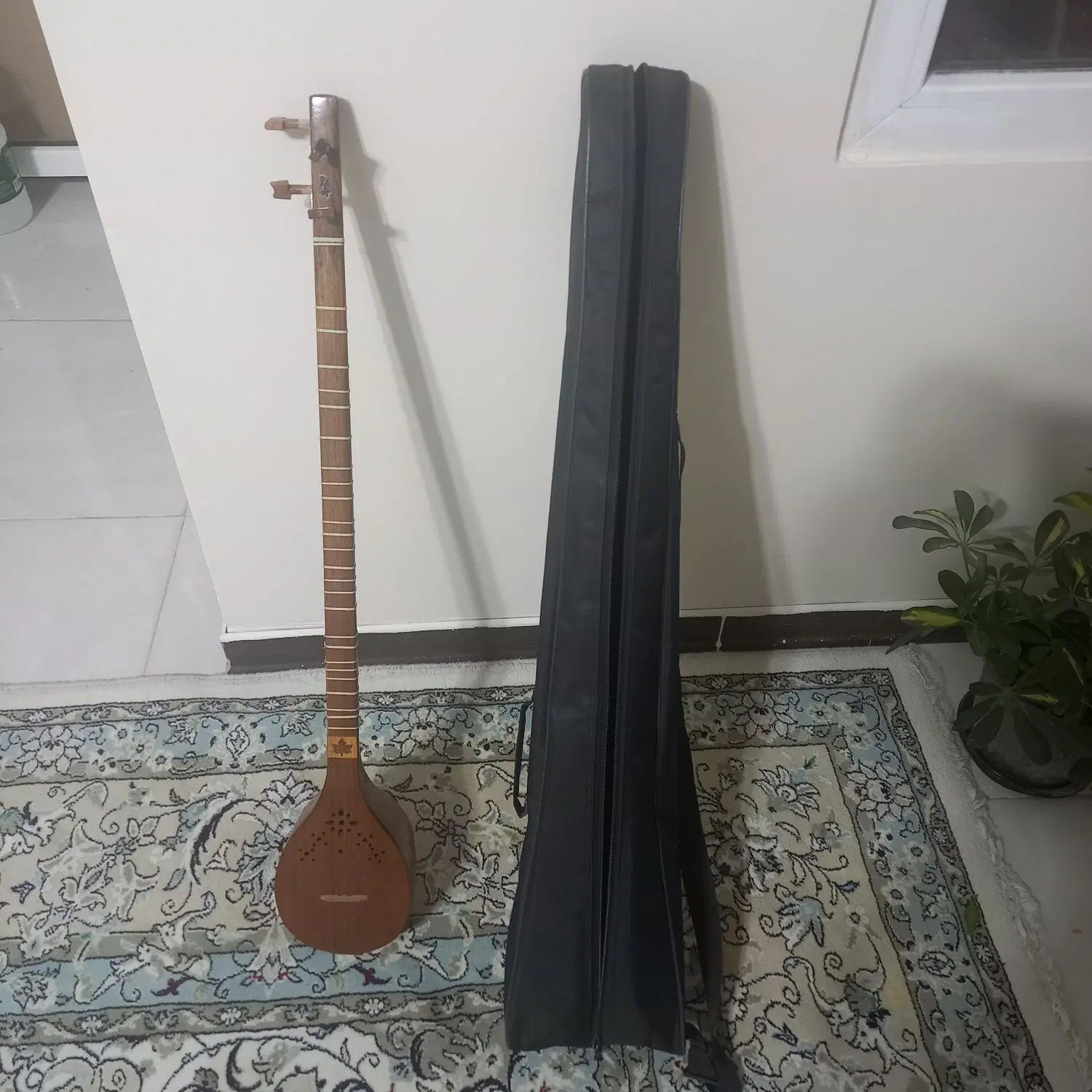 سه تار ساخت اصفهان|سازهای سنتی|اصفهان, سپاهان‌شهر|دیوار