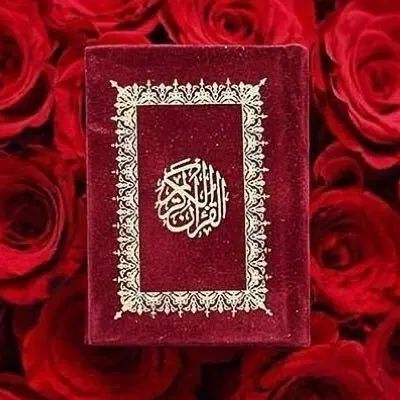 ختم قرآن نماز روزه‌‌انجام میدم‌ برای گذران زندگی|فعالیت داوطلبانه|تهران, پاسداران|دیوار