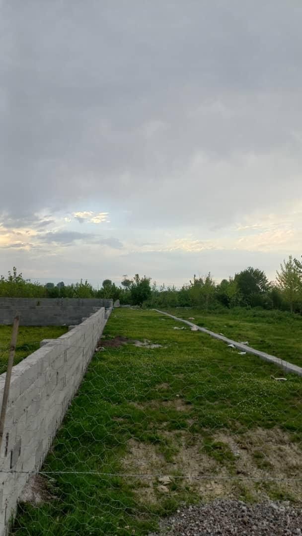 فروش زمین ۲۵۱ متر مسکونی|فروش زمین و ملک کلنگی|رضوانشهر, |دیوار