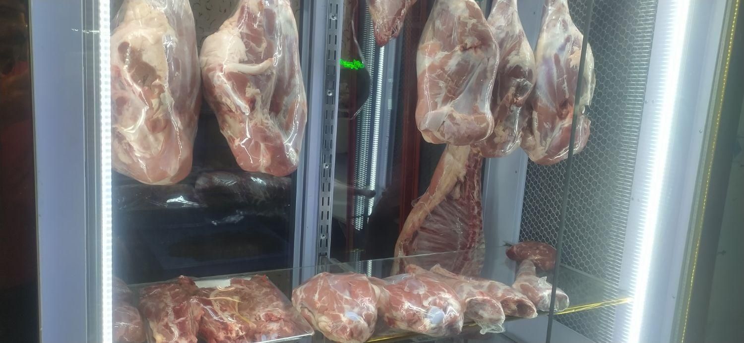 گوشت گوسفند تازه سردست و ران با تحویل روزانه|خوردنی و آشامیدنی|مشهد, گاز|دیوار
