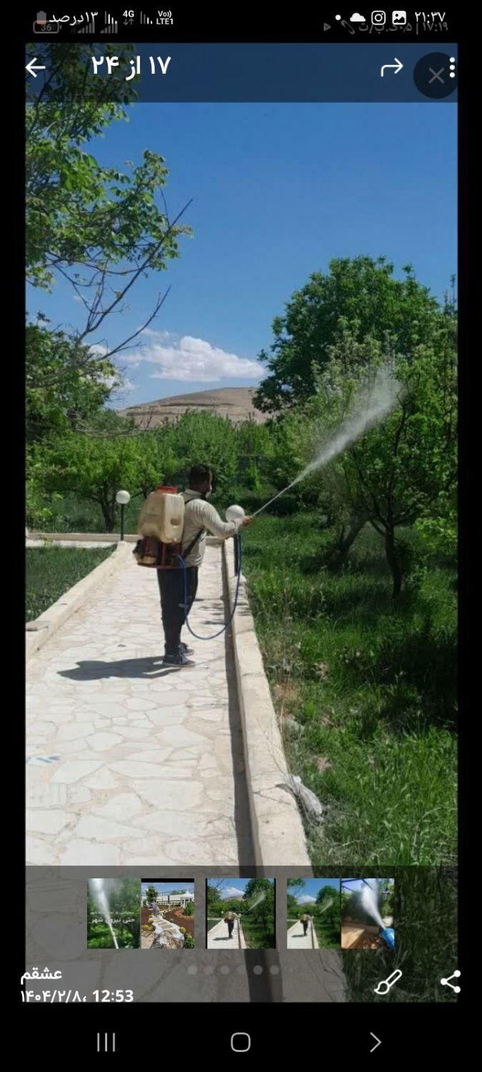 خدمات پیوندی باغبانی سم پاشی طرح فضای باغچه|خدمات باغبانی و درختکاری|تهران, شهرک غرب|دیوار