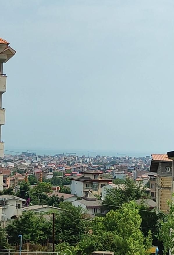 مشارکت در ساخت پلاک یک جنگل|مشارکت در ساخت املاک|نوشهر, |دیوار