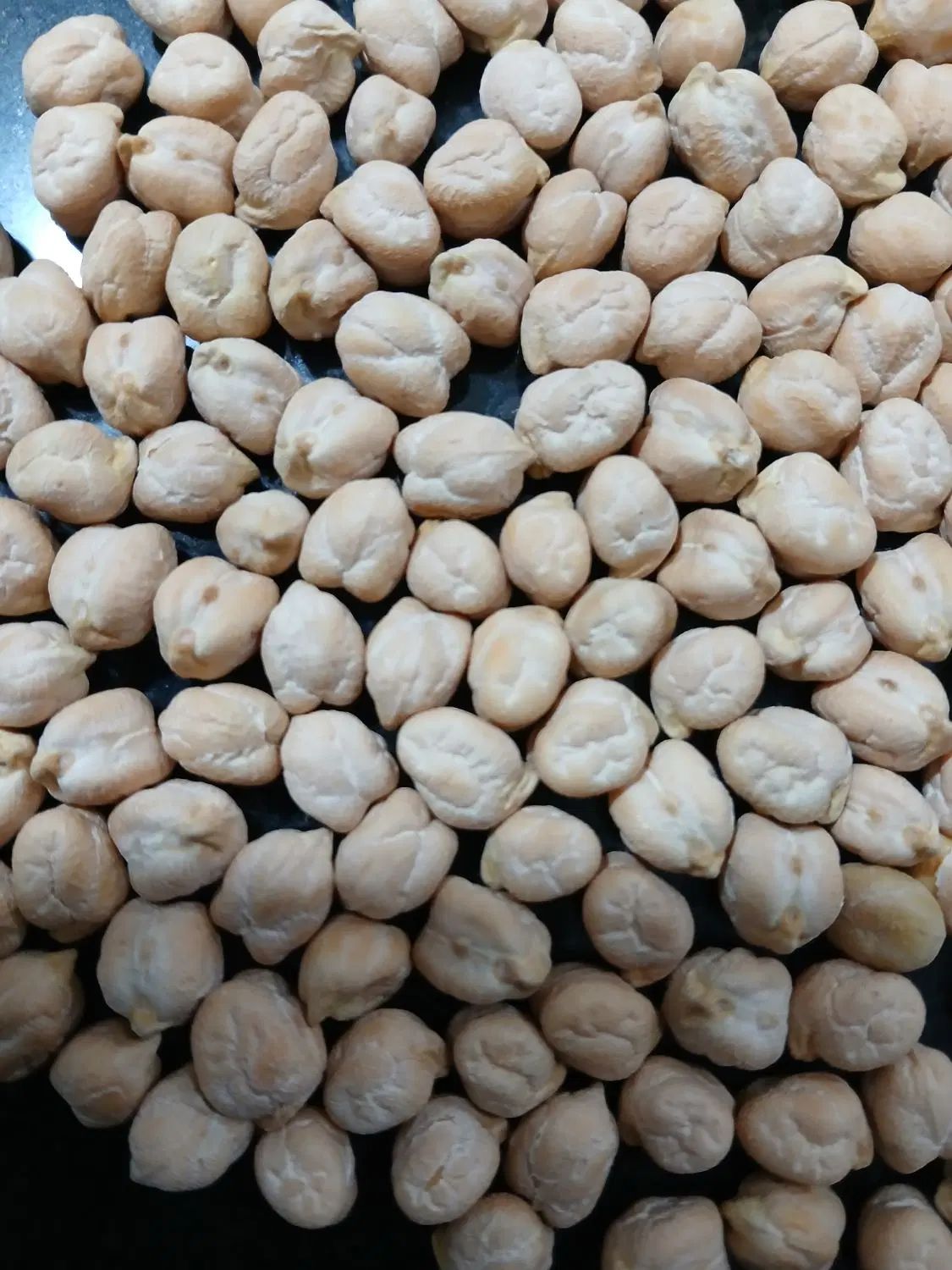 نخود علاء|خوردنی و آشامیدنی|تهران, آرژانتین|دیوار