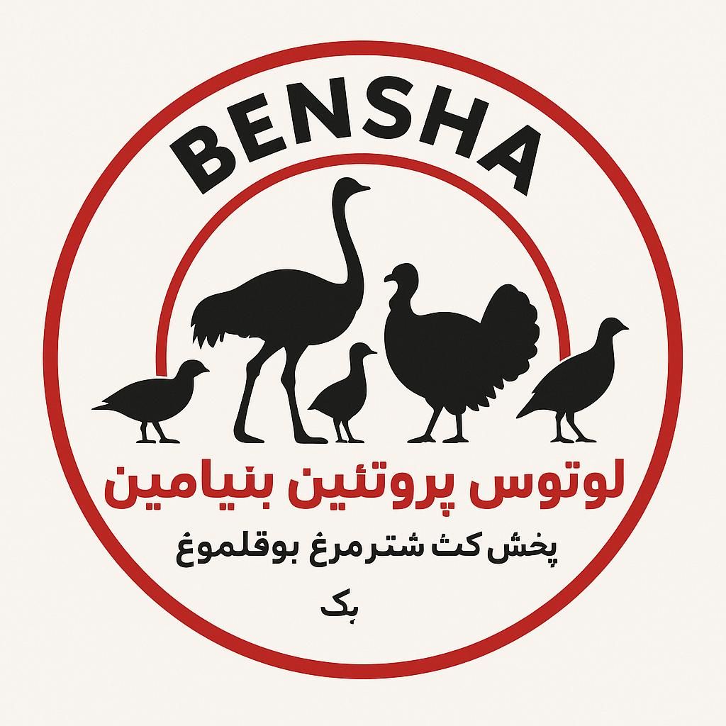 تحصیلدار اقا برای شرکت پخش گوشت|استخدام مالی، حسابداری، حقوقی|تهران, نازی‌آباد|دیوار