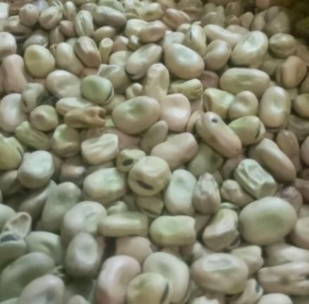 باقالی|خوردنی و آشامیدنی|نیشابور, مازول|دیوار