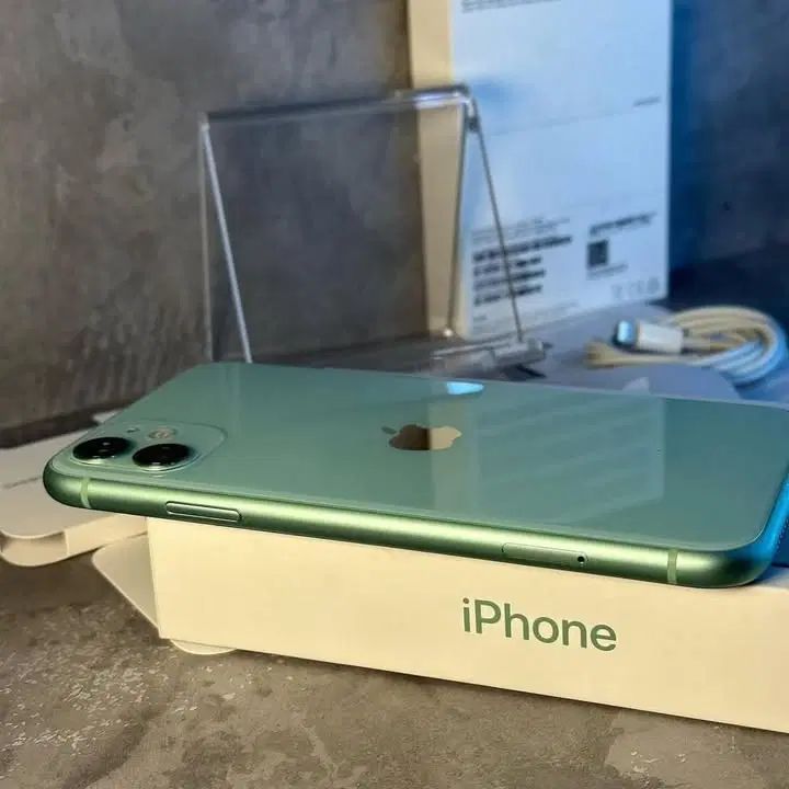 Iphon 11|موبایل|رشت, کاکتوس|دیوار