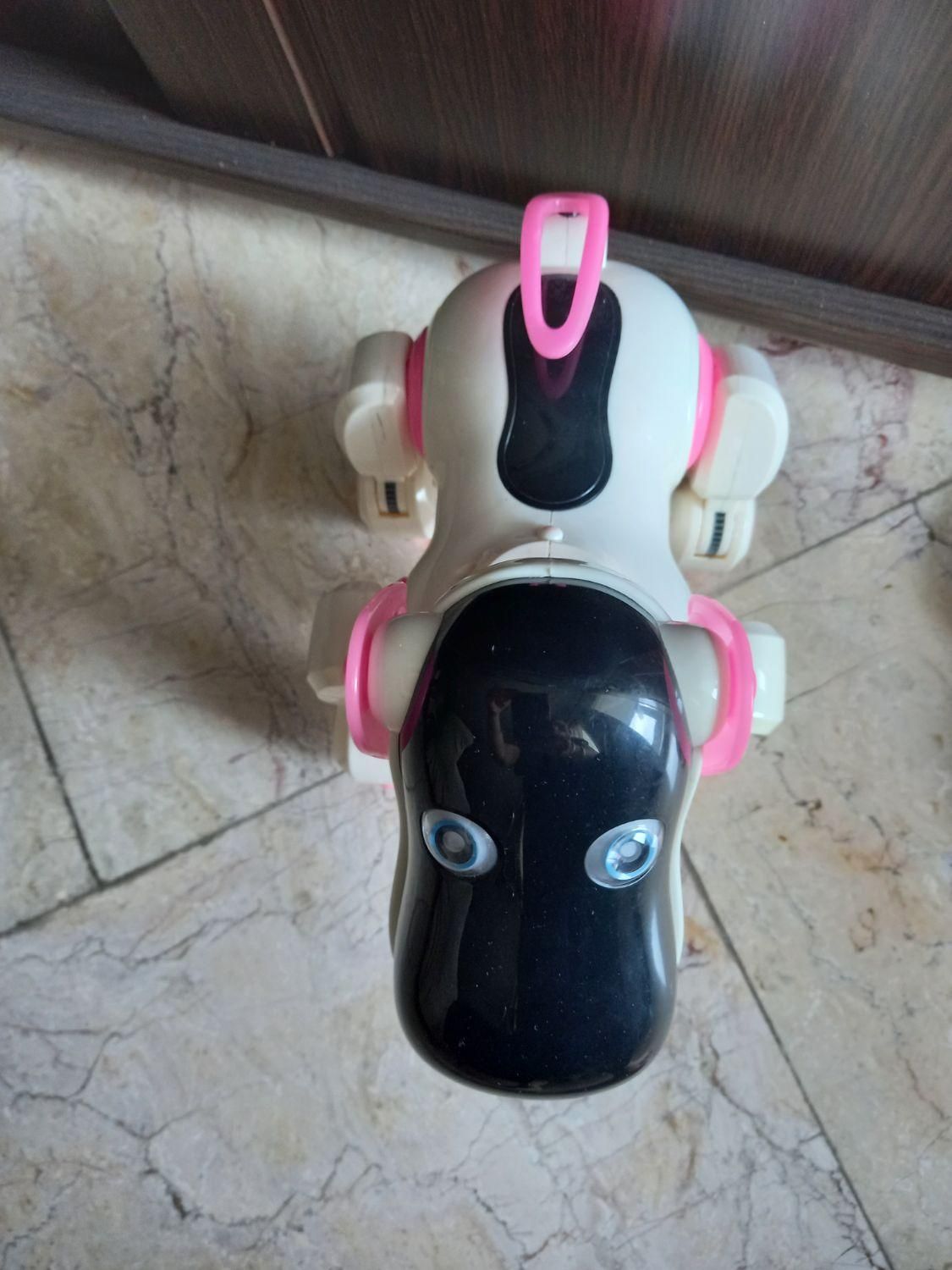 اسباب بازی (سگ رباتیک)|اسباب‌‌بازی|رشت, گلسار|دیوار