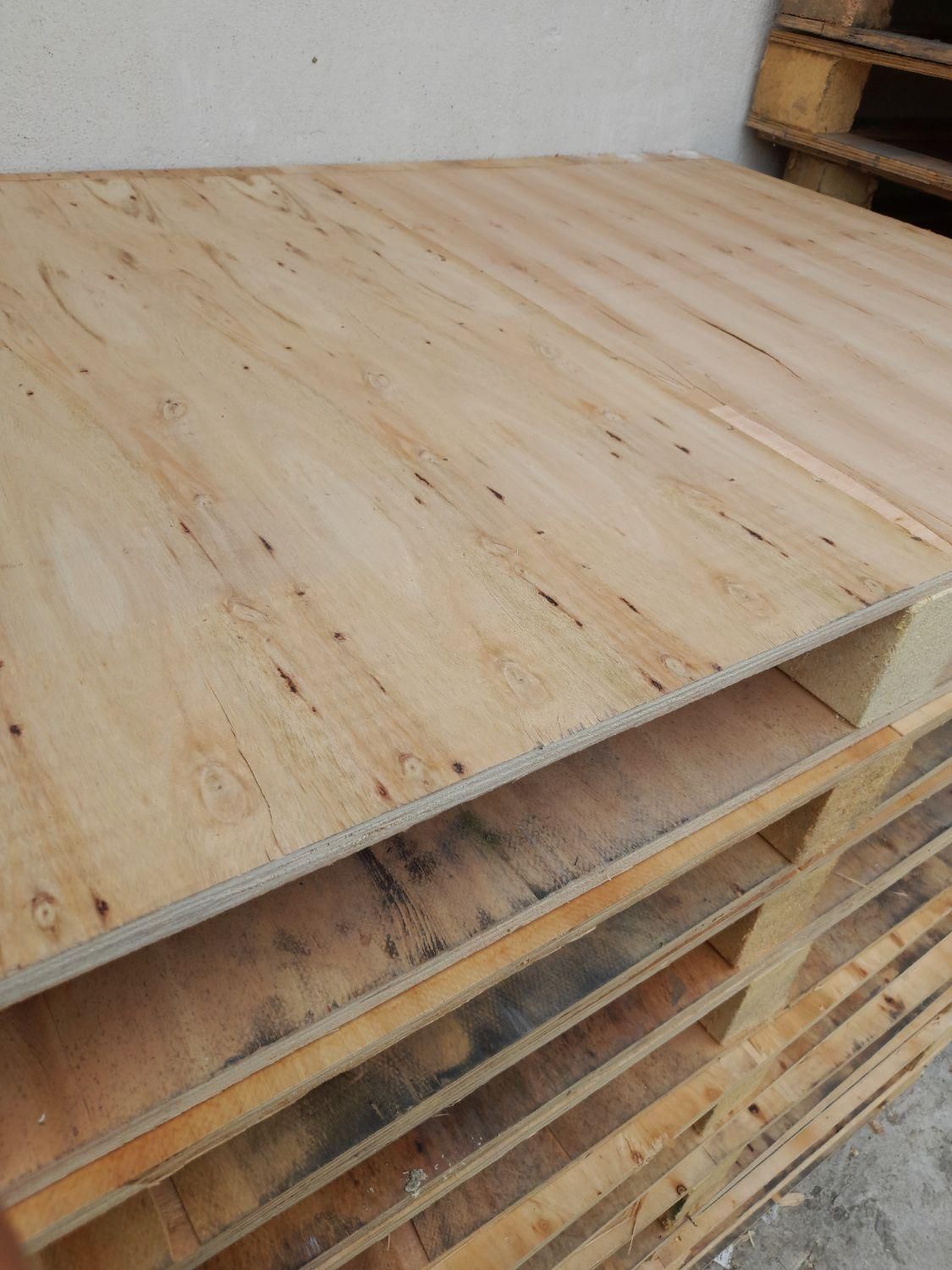 پالت چوبی وارداتی و تخته هفت لایی|مصالح و تجهیزات ساختمان|رشت, فلسطین|دیوار