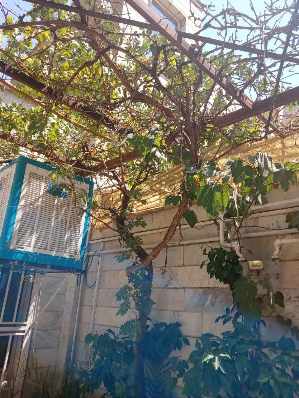 ملک ۱۶۰متری ویلایی/ دربست / ماشین رو/ تهرانسر|اجارهٔ آپارتمان|تهران, تهرانسر شمالی|دیوار