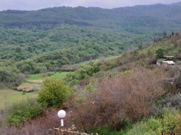 بهشت چهار فصل|اجارهٔ خانه و ویلا|گلوگاه, |دیوار