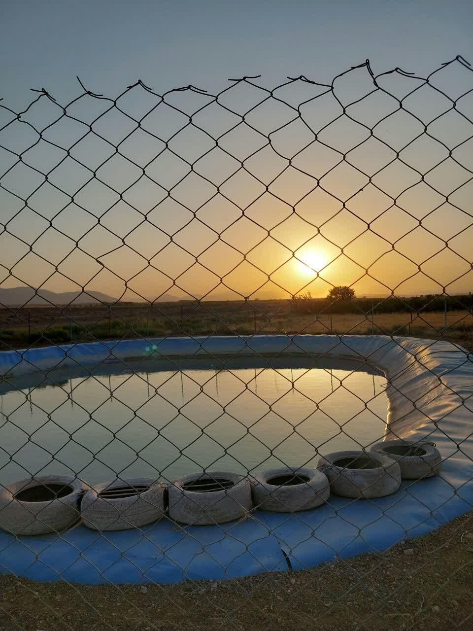 فروش باغ و زمین دو هکتاری پسته و انار لالایین فوری|فروش زمین و ملک کلنگی|ساوه, |دیوار