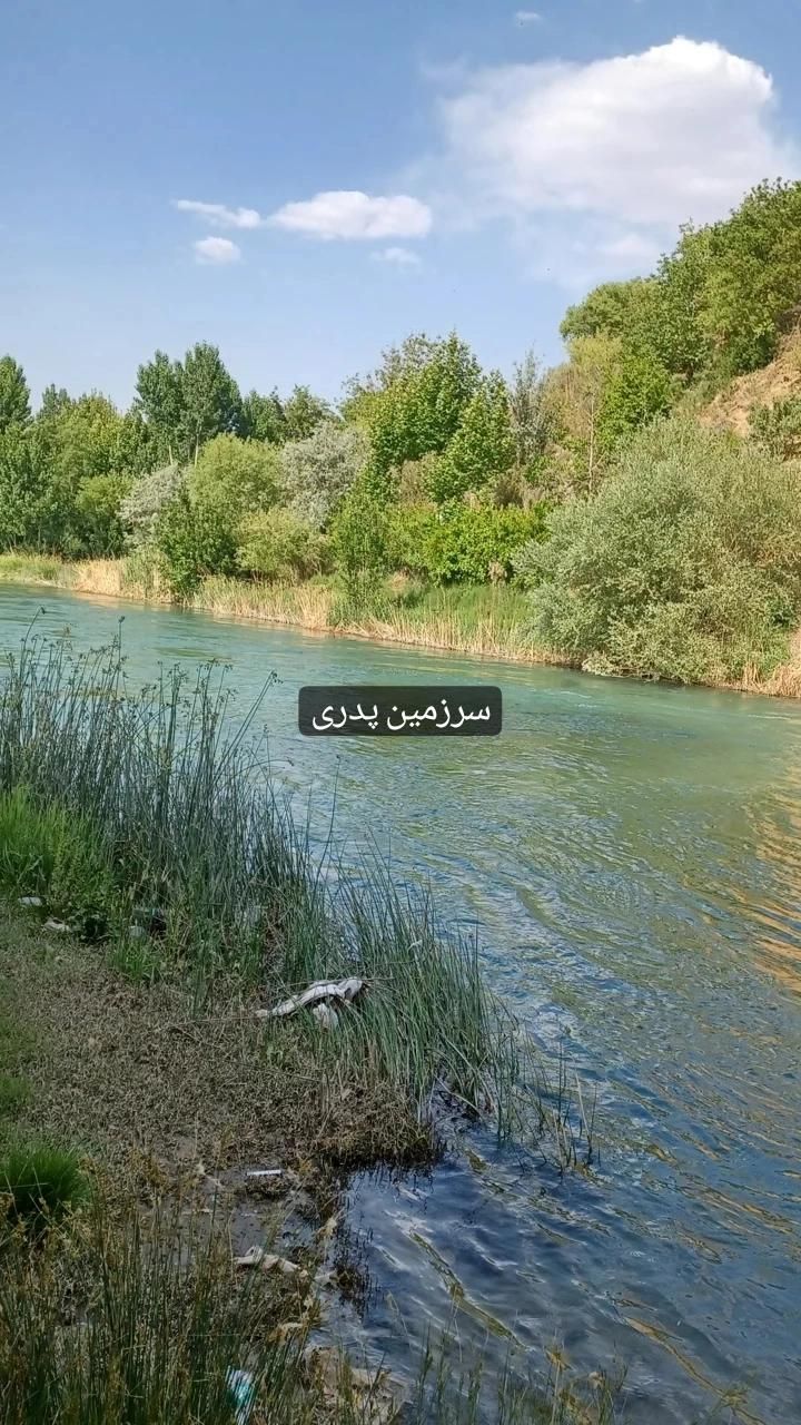 نیازمندوام ازاد فوری|خدمات مالی، حسابداری، بیمه|شاهین‌شهر, طالقانی|دیوار