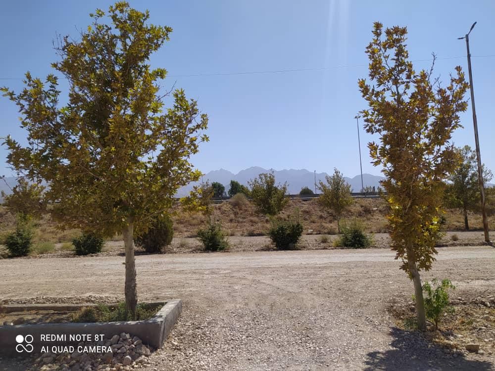 زمین ۶۷ قصبی|فروش زمین و ملک کلنگی|ماهان, |دیوار