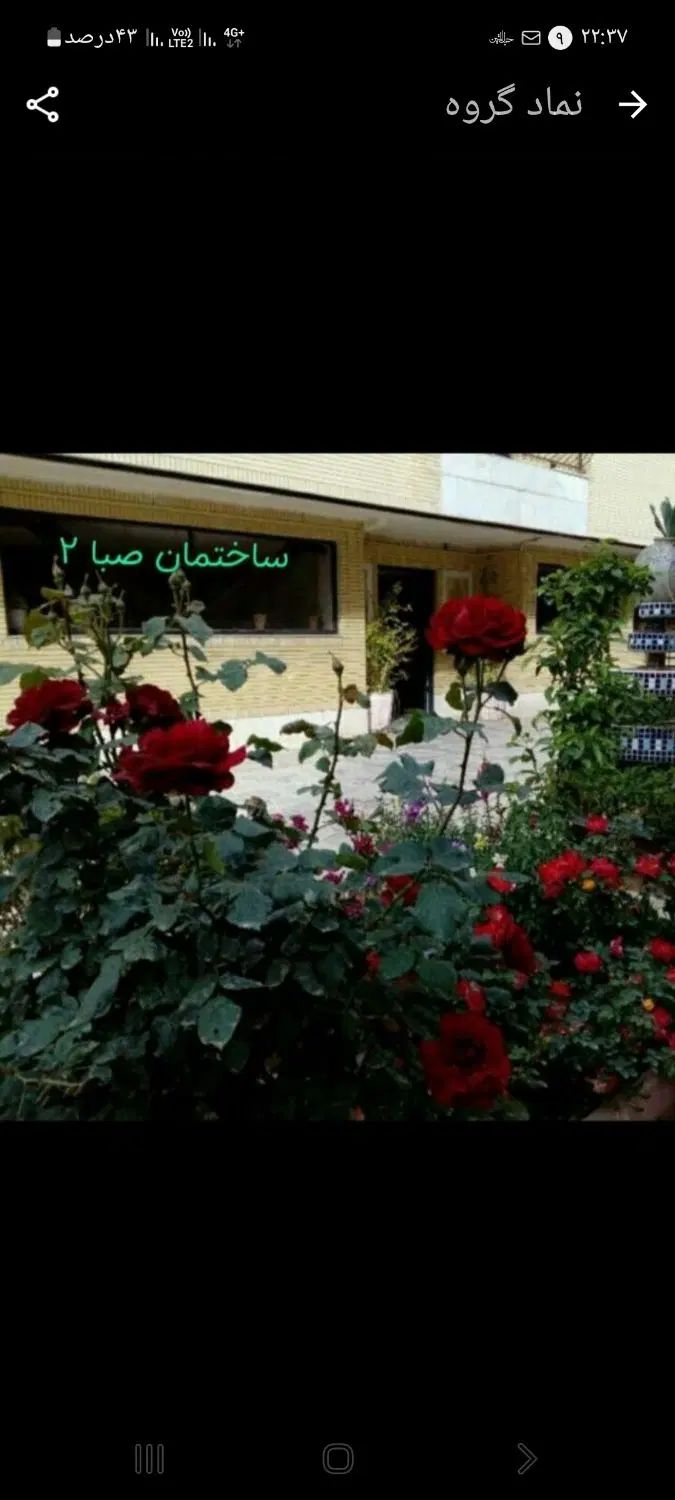 فروش آپارتمان۳خوابه کوچه توتک این قیمت تا۲۳شهریور|فروش آپارتمان|شیراز, انجیر|دیوار