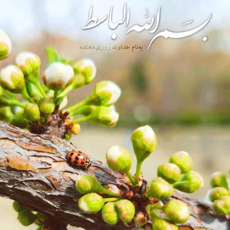 کارت ملی هوشمند|اشیا|یاسوج, |دیوار
