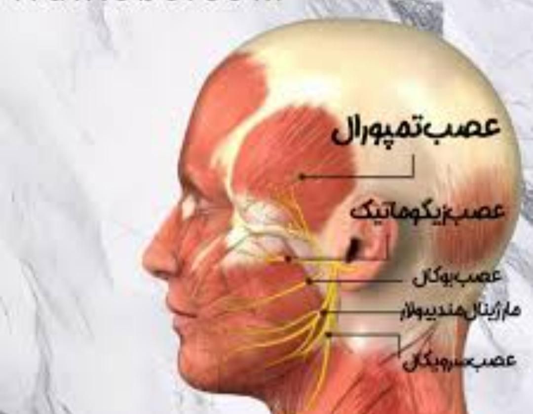 تخفیف ویژه اموزش تزریق بوتاکس و فیلر|خدمات آموزشی|ارومیه, |دیوار