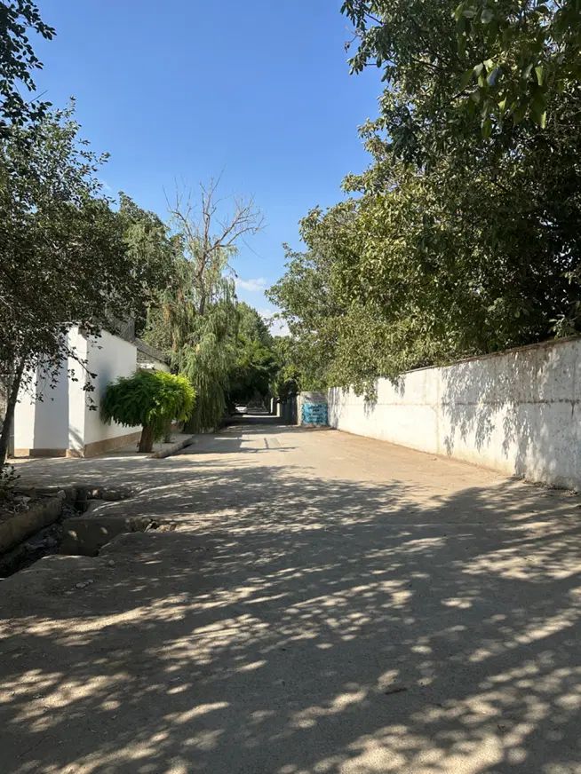 زمین۴۶۰متر سند دار کردان تهراندشت چناران شرقی|فروش زمین و ملک کلنگی|کرج, فاز ۱ مهرشهر|دیوار