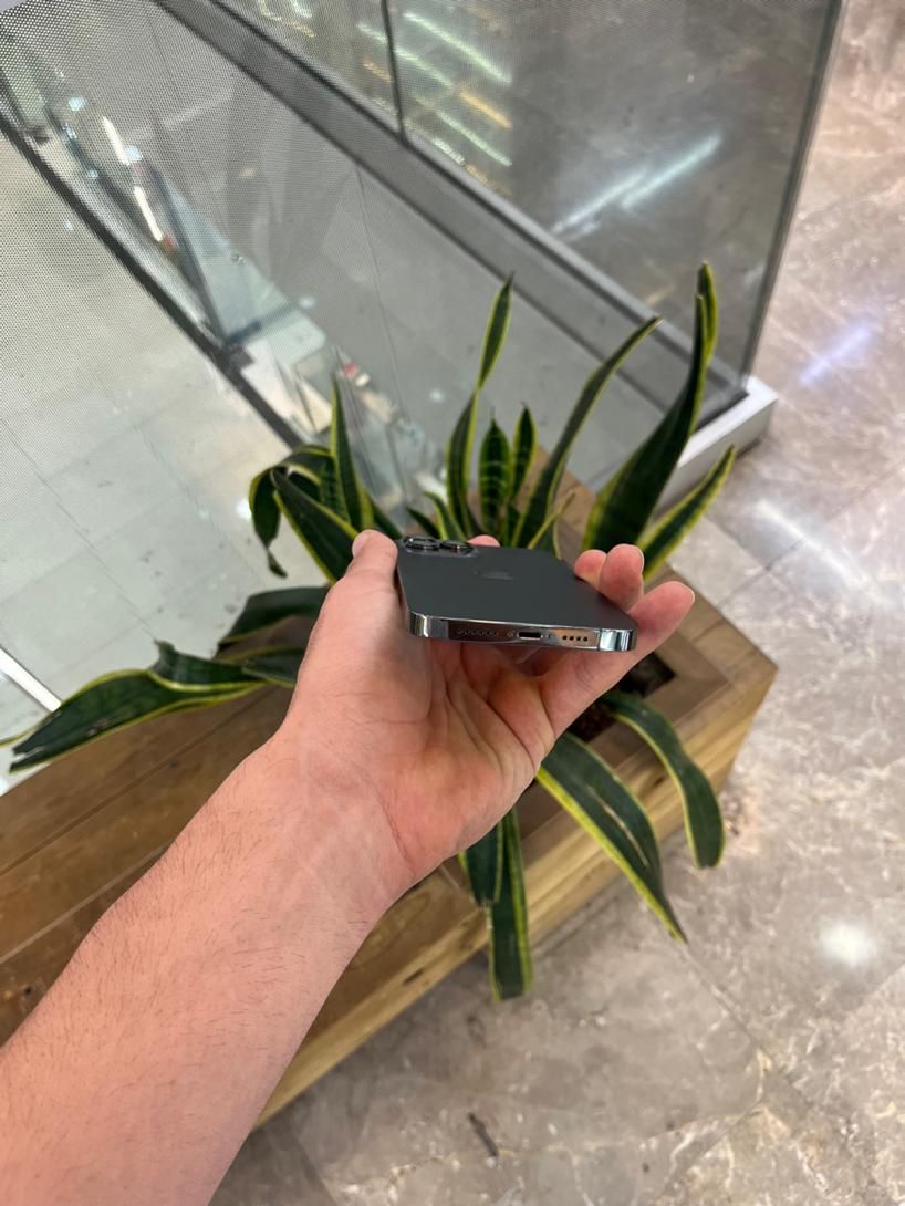 iphone 13 pro max 256 لازرورق|موبایل|کرج, درختی|دیوار