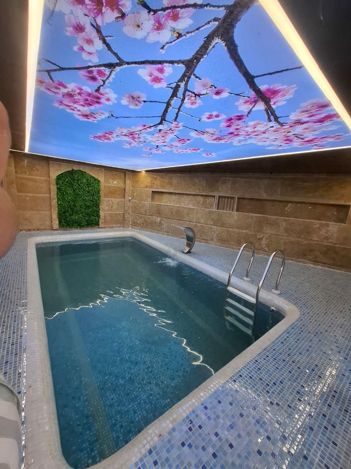 طراحی واجرای تخصصی استخر وجکوزی خانگی|خدمات پیشه و مهارت|همدان, |دیوار