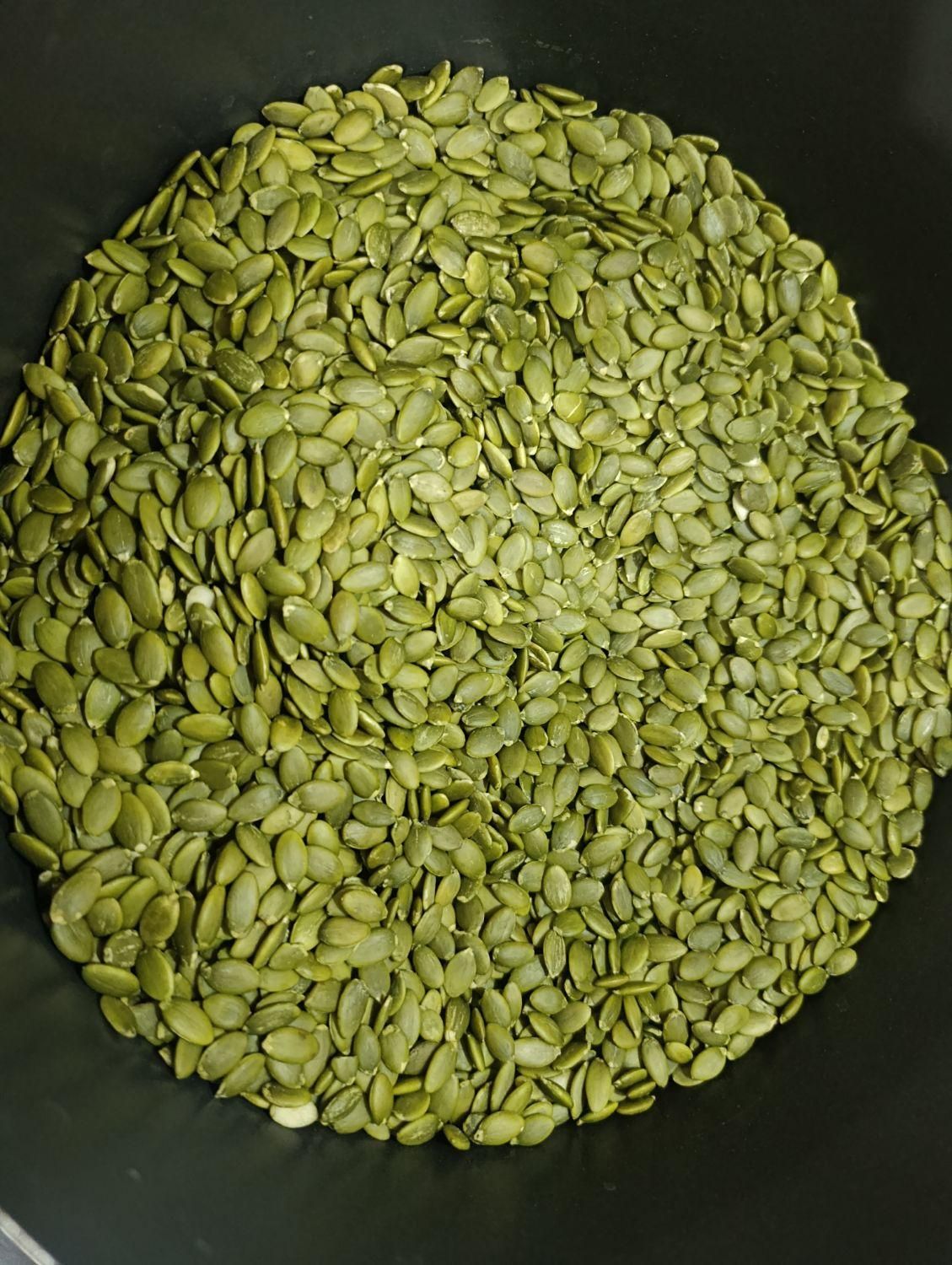قوتو اصل کرمان|خوردنی و آشامیدنی|مشهد, کوشش|دیوار
