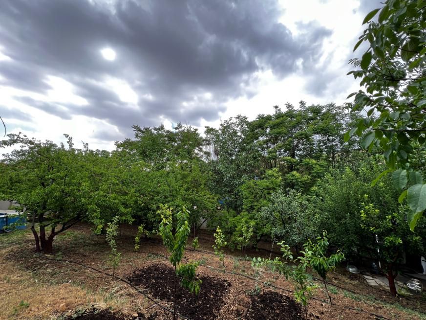 فروش زمین ۵۰۰ متری|فروش زمین و ملک کلنگی|آبسرد, |دیوار