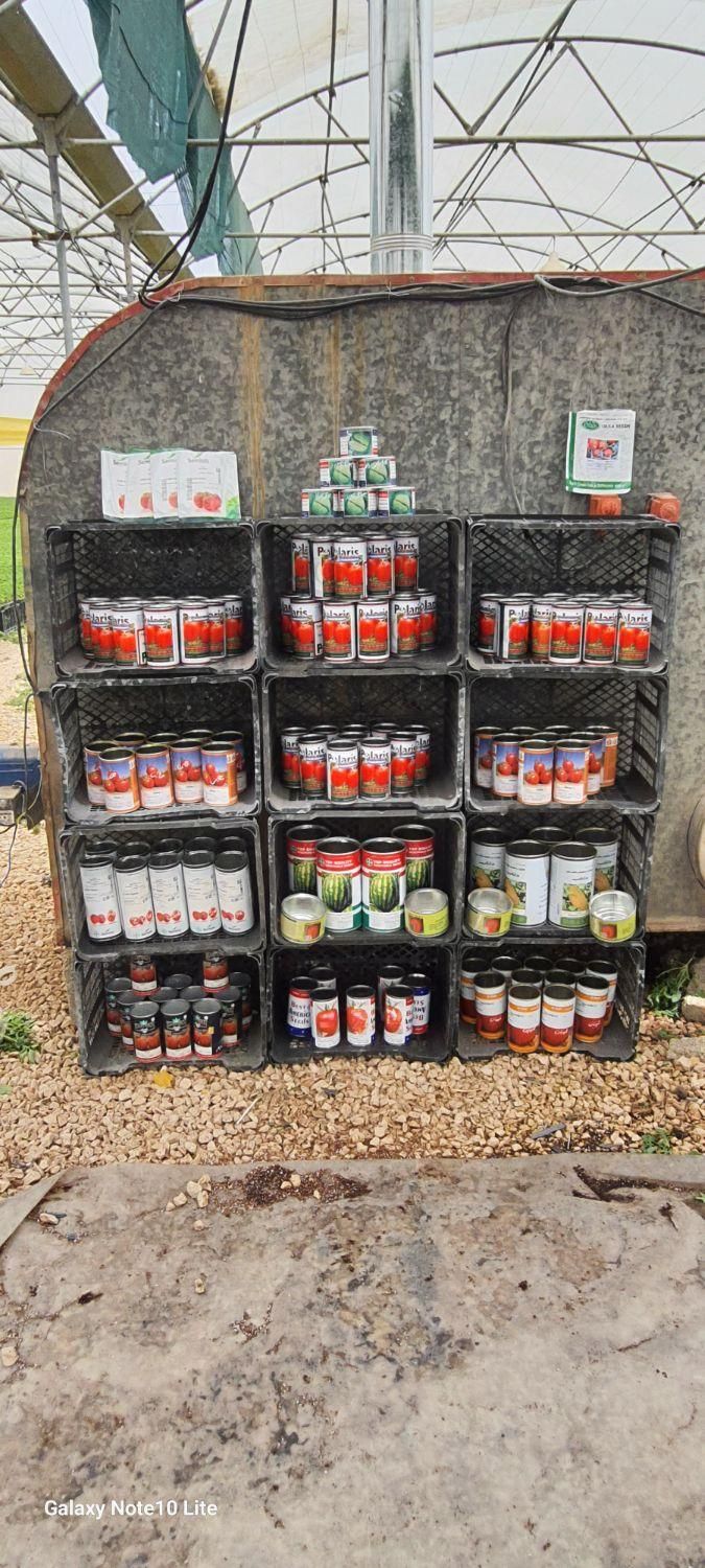 گلخانه تولید نشا در شیراز|خدمات باغبانی و درختکاری|مرودشت, زنگی آباد|دیوار