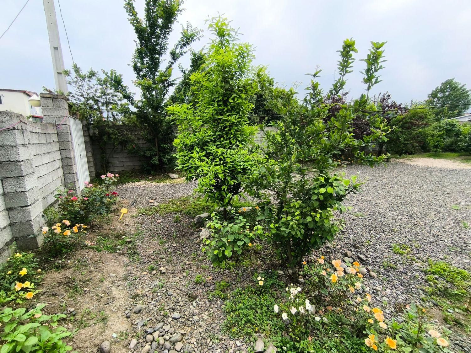 فروش زمین ۶۸۳ متری|فروش زمین و ملک کلنگی|آستارا, |دیوار