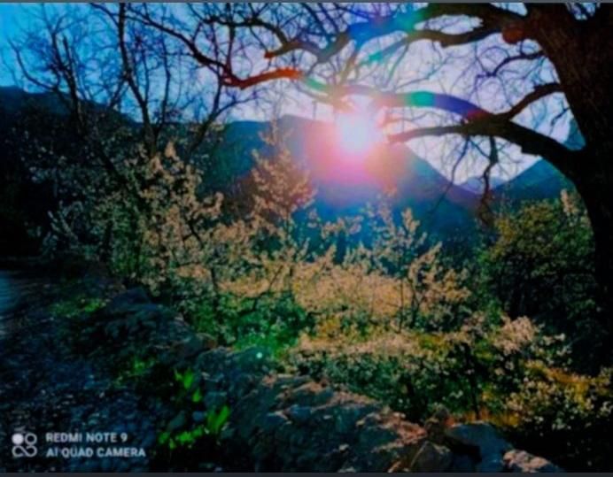 ویلا و سوئیت اجاره ایی «اخلمد»|اجارهٔ کوتاه‌مدت ویلا و باغ|چناران, |دیوار