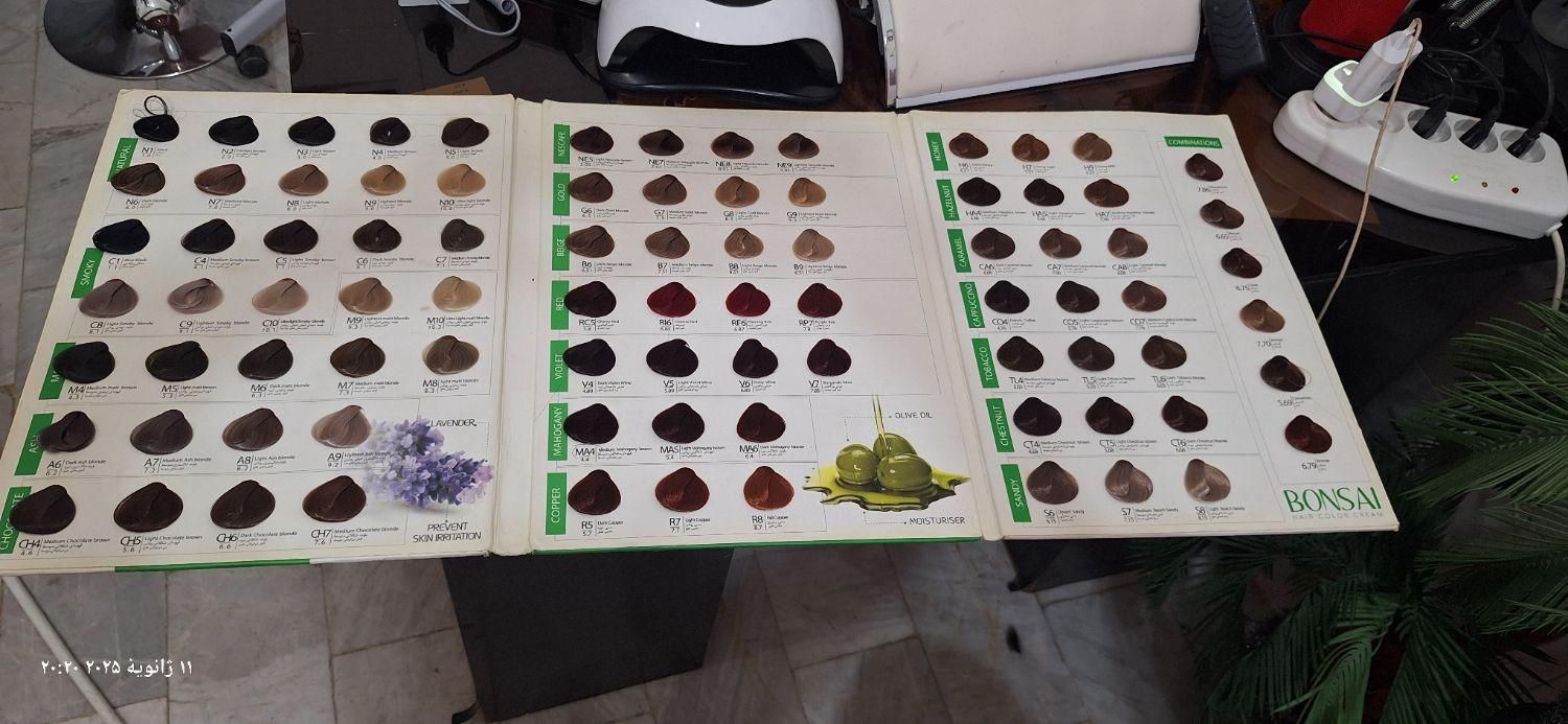 کاتالوگ رنگ مو|آرایشی، بهداشتی، درمانی|کرمانشاه, |دیوار