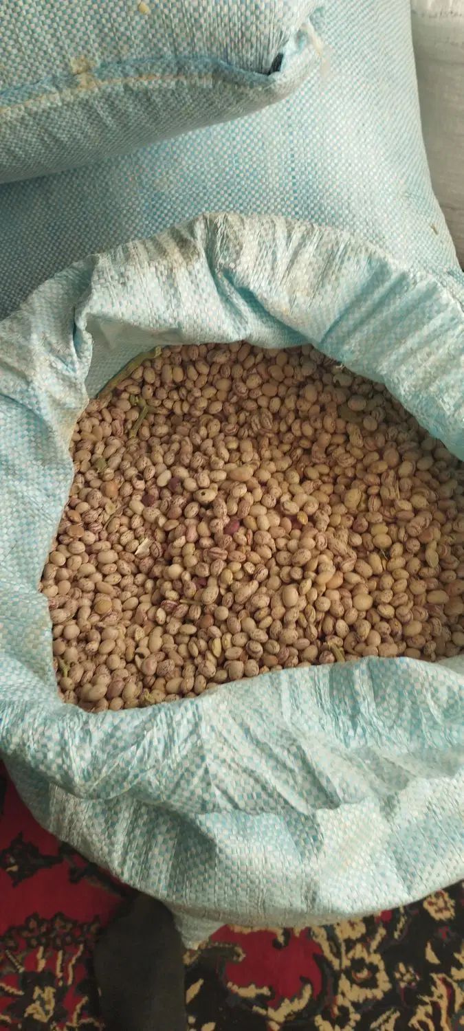 لوبیا چیتی|خوردنی و آشامیدنی|اصفهان, ارداجی|دیوار