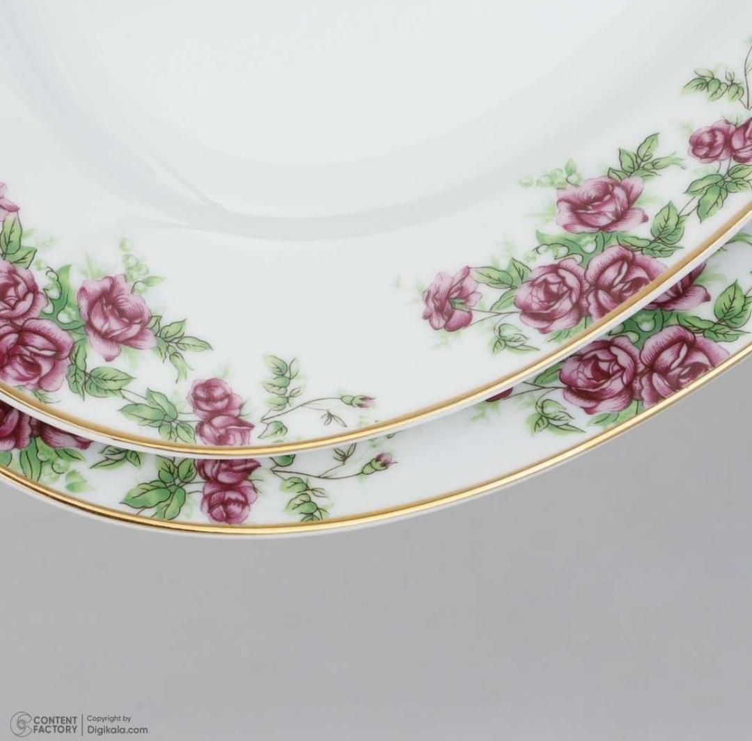 سرویس چینی زرین|ظروف سرو و پذیرایی|مهاباد (آذربایجان غربی), |دیوار