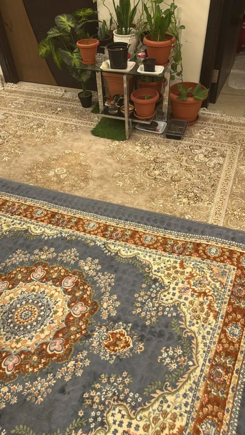 رهن و اجاره خانه ۱۵۰ متری میدان امام حسین|اجارهٔ آپارتمان|داراب, |دیوار