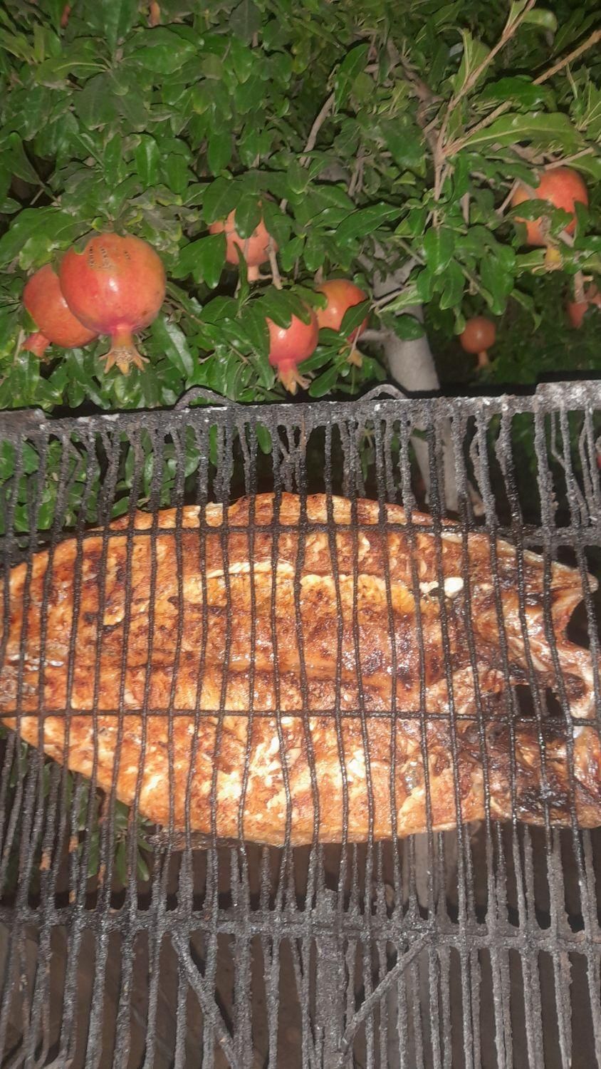 فروش ماهی قزل الا.|ماهی|نورآباد ممسنی, |دیوار