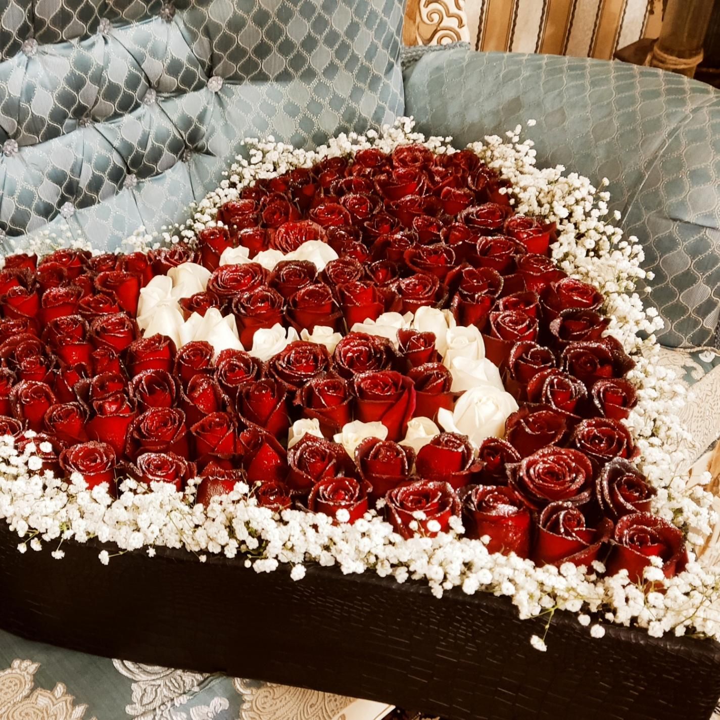 گل رز تازه و عمده|گل و گیاه طبیعی|شیراز, جوادیه|دیوار