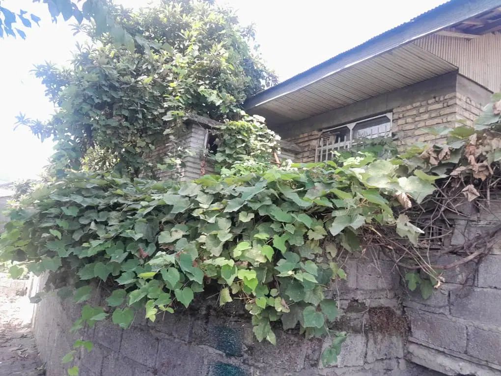 فروش خانه ویلایی مناسب ساخت و بازسازی گلستان۳۵|فروش خانه و ویلا|لاهیجان, گلستان|دیوار