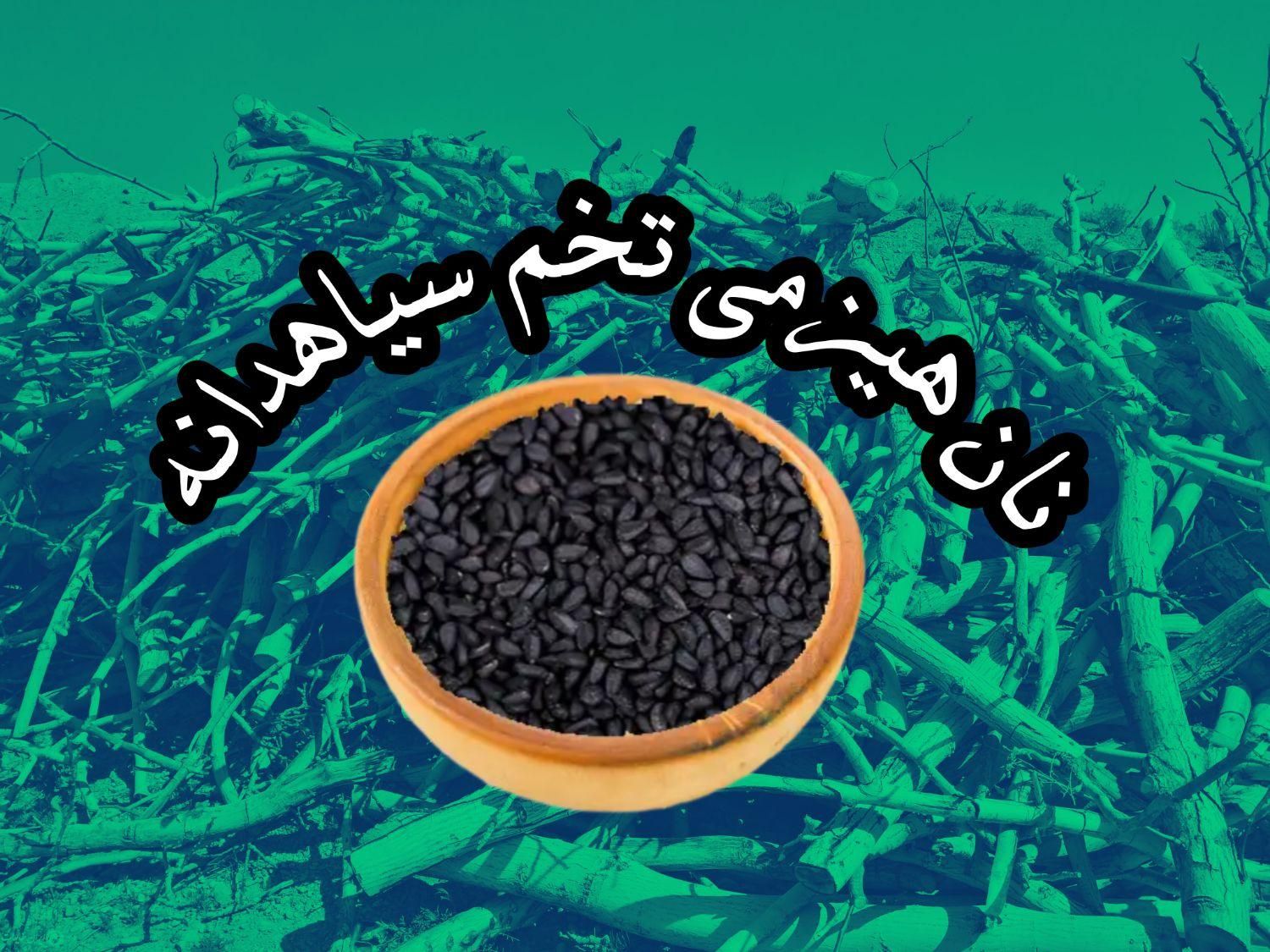 نان بومی و هیزمی ننه خاتون/تخم سیاهدانه|خوردنی و آشامیدنی|اصفهان, خوراسگان|دیوار