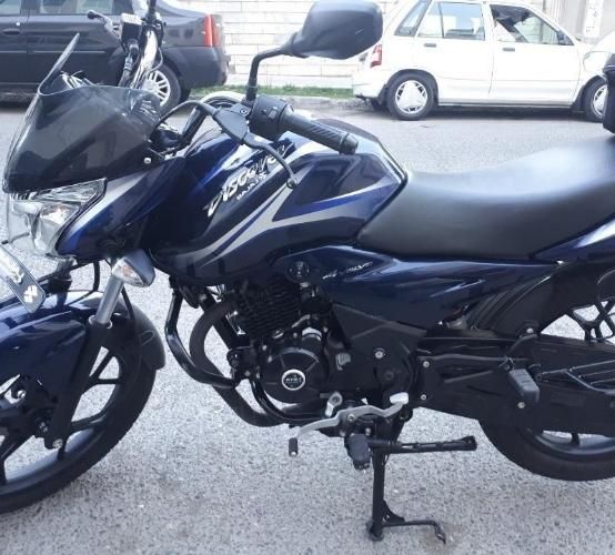 دیسکاور باجاج125.150خر ی دارم|موتورسیکلت|تهران, آرژانتین|دیوار