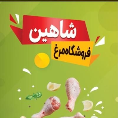 شنیسل مرغ فیله ران کتف بال شینسل ماهیچه ساق|خدمات پذیرایی، مراسم|اصفهان, مولوی|دیوار