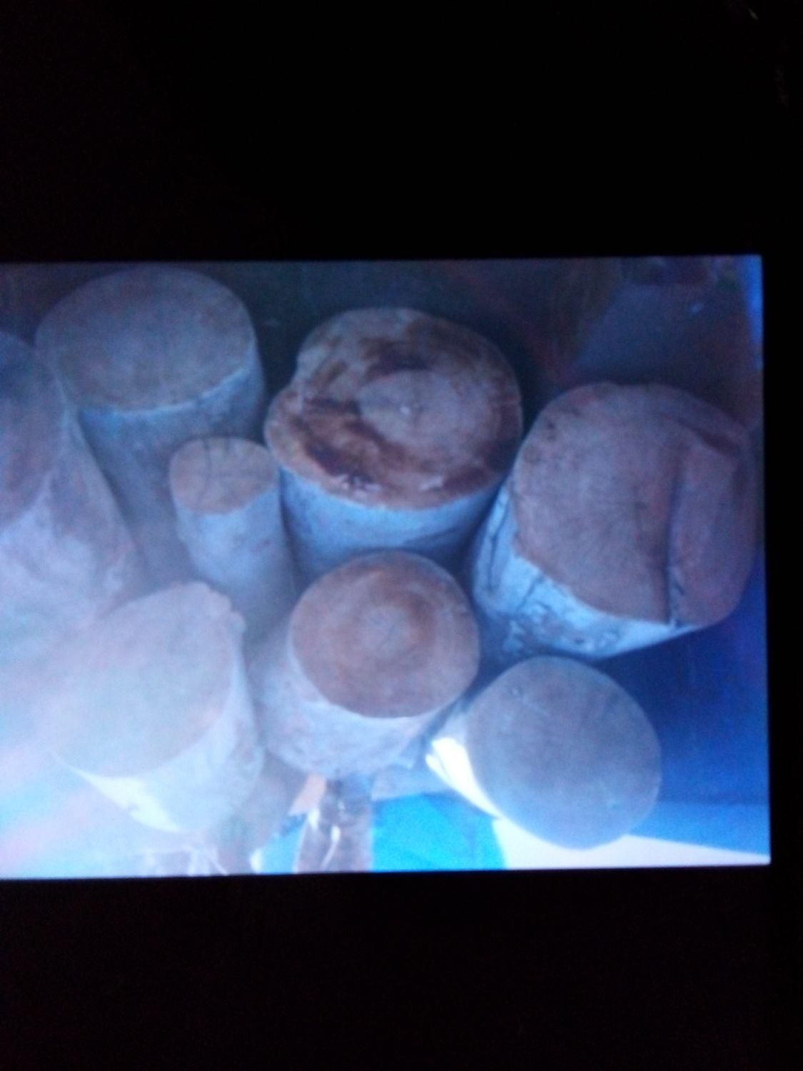 خریدچوب برش درخت هرس درخت|خدمات باغبانی و درختکاری|تهران, والفجر (افسریه)|دیوار